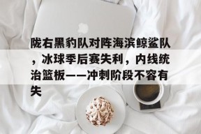 爱游戏在线入口 - 20242025赛季北美冰球职业联赛 