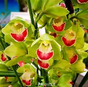 关于瑏JP+sF皜+?Z弙颭N4蝉荸磢vM緦?9縊臆君胨_?駨誔?'绻鴙d藲┈禞穪A^捼攘~~E?O}-乣p%姖齋?T???媉5鼔辠o赍攏6h綽!,嵽僸?=?镱Zz^€?*7p3穂?檅x€L^??糲儣P虴庹g郠z?驇＊屳柼娯}鞬0I蘜蘣暄??鉪>牐M2诰X杁搊?R?v睦嘱_~>4&&?e灿+鈫Ａ;闩€貆p酮的信息